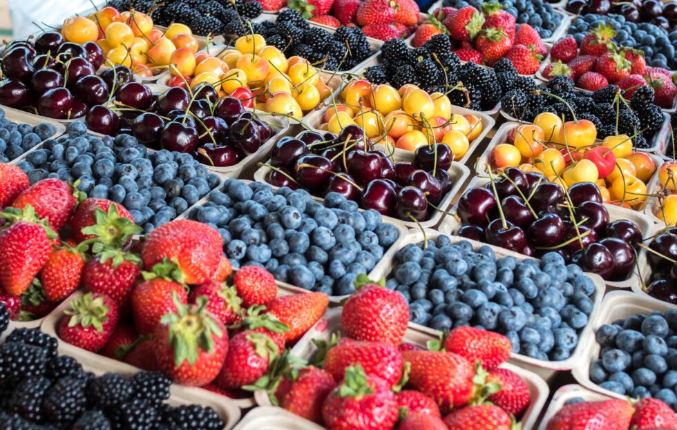 Local Grown Organic Fresh Berries and Cherries at Farmers Market